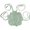 Cabbage Top