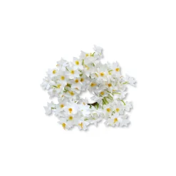 Daffodil Napkin Rings (4)